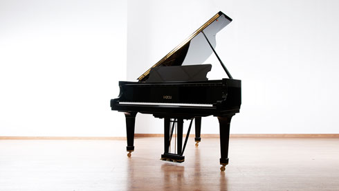 Produktbild Fazioli - F-156