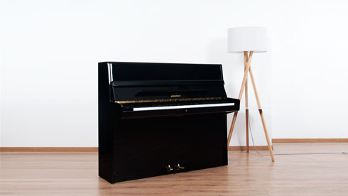 Produktbild Pfeiffer - 112