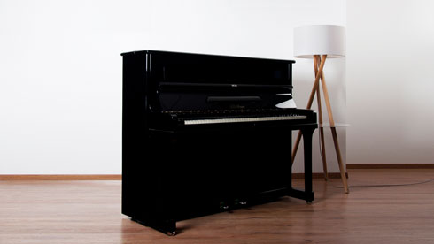 Produktbild Blüthner - 122