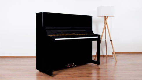 Produktbild Petrof - 125G