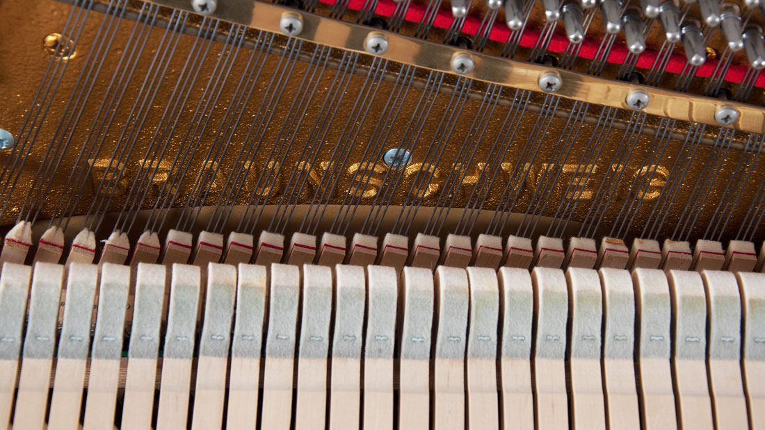 Produktbild Schimmel - 118t - Nr.6