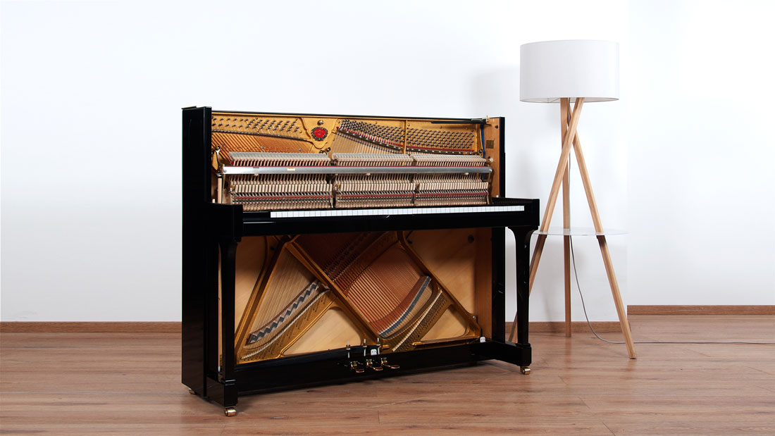 Produktbild Schimmel - 118t - Nr.2