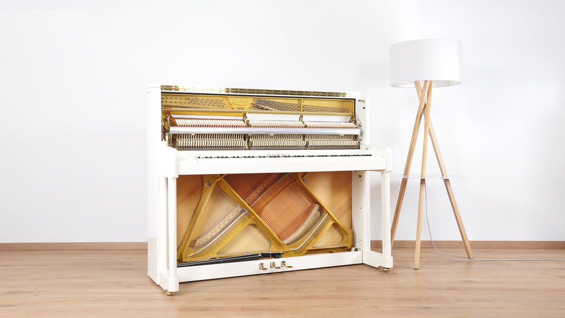 Produktbild Schimmel - 120 - Nr.2