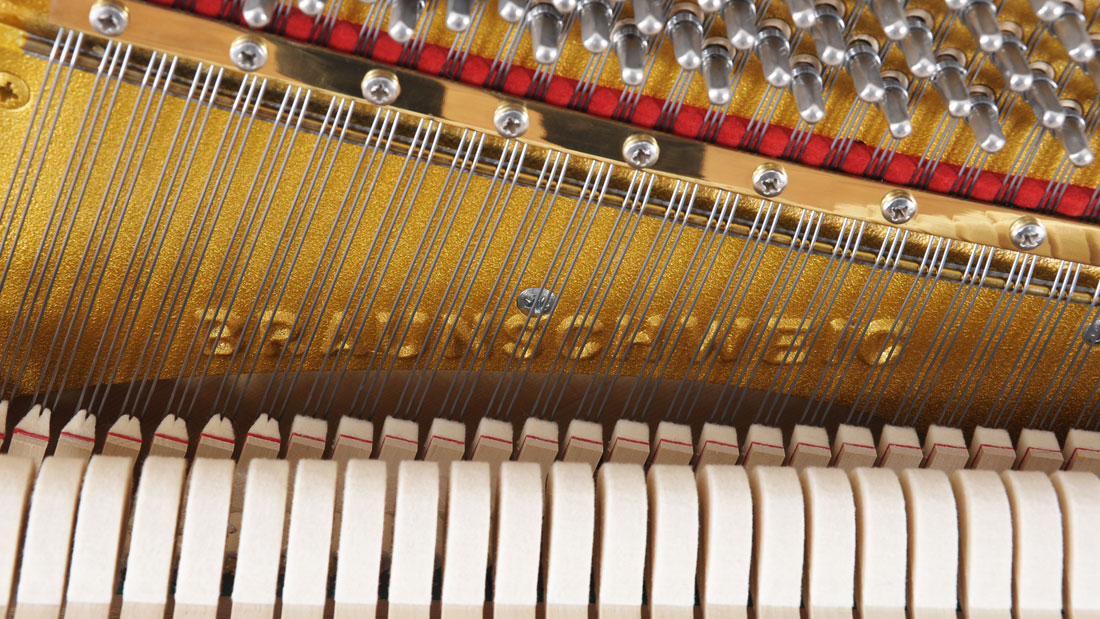 Produktbild Schimmel - 120 - Nr.6