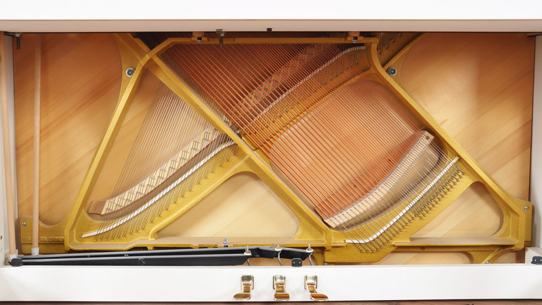 Produktbild Schimmel - 120 - Nr.7