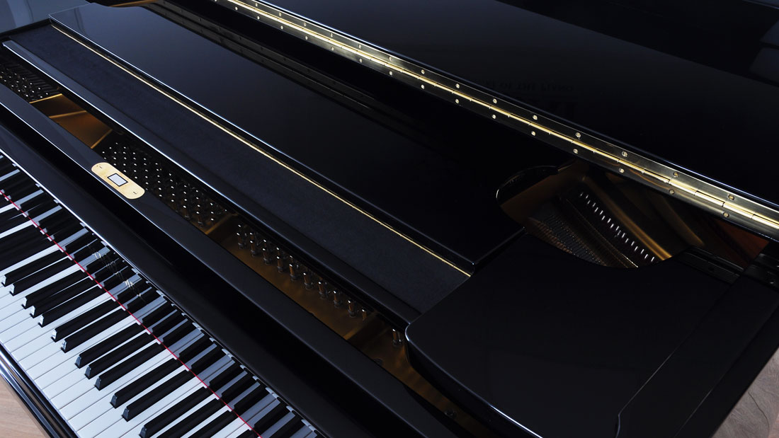 Produktbild Schimmel - 174T - Nr.2