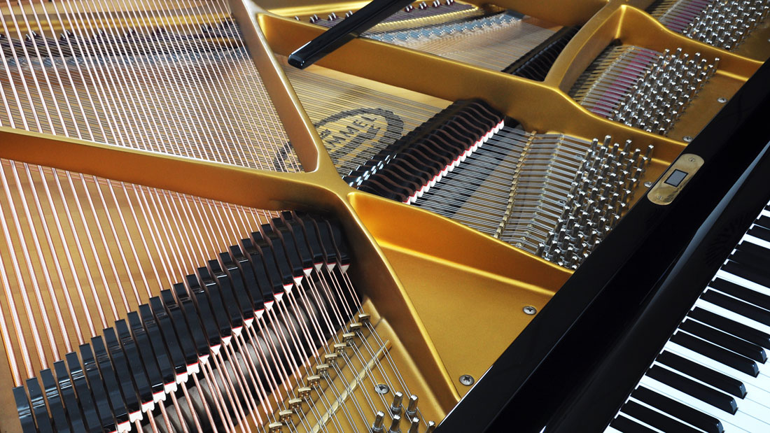 Produktbild Schimmel - 174T - Nr.4