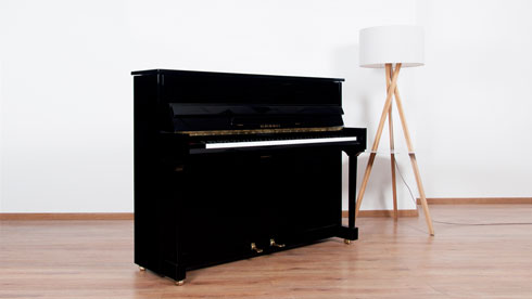 Produktbild Schimmel - 114