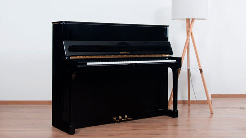 Produktbild Schimmel - 118t