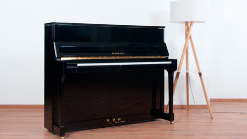 Produktbild Schimmel - 120t